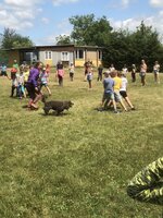 Agility Sezemice