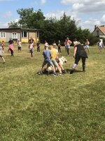 Agility Sezemice