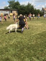 Agility Sezemice