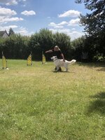 Agility Sezemice