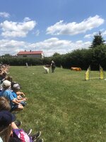 Agility Sezemice