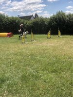Agility Sezemice