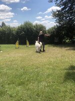 Agility Sezemice