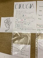 Projektová výuka španělštiny s 9. B ¡Ay me duele! 
