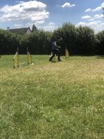 Agility Sezemice