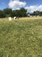 Agility Sezemice