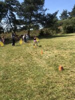 Agility Sezemice