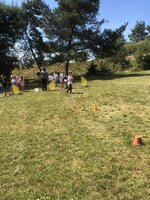 Agility Sezemice