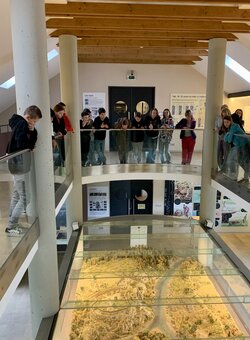 Exkurze žáků šestých tříd do Archeoparku ve Všestarech
