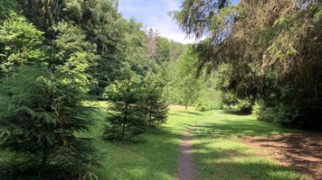 Výlet 1. C ve ČTYŘLÍSTKU