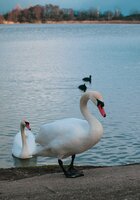 Fotografická soutěž - EVVO projekt - Voda - vyhodnocení