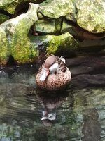 Fotografická soutěž - EVVO projekt - Voda - vyhodnocení