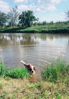 Fotografická soutěž - EVVO projekt - Voda - vyhodnocení