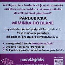 Přednáška: Těhotenství a porod - 8. a 9. ročník