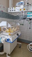Přednáška: Těhotenství a porod - 8. a 9. ročník