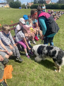 Agility na psím cvičišti se ŠD