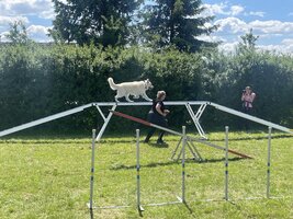 Agility na psím cvičišti se ŠD