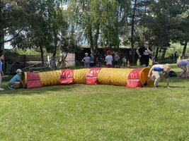 Agility na psím cvičišti se ŠD