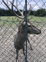Projektový den - Vysoké Chvojno