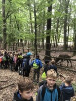 Projektový den - Vysoké Chvojno