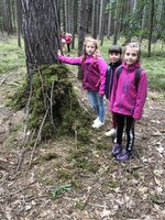 Projektový den - Vysoké Chvojno