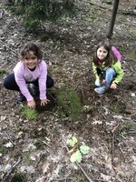 Projektový den - Vysoké Chvojno