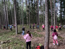 Projektový den - Vysoké Chvojno