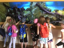 Projektový den - Zoo Chleby