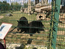 Projektový den - Zoo Chleby
