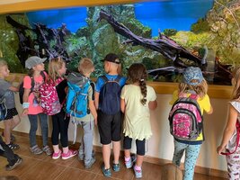 Projektový den - Zoo Chleby
