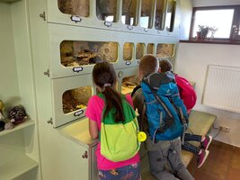 Projektový den - Zoo Chleby