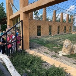 Projektový den - Zoo Chleby