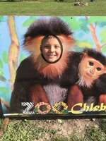 Projektový den - Zoo Chleby
