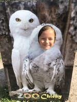 Projektový den - Zoo Chleby