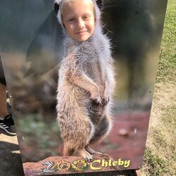 Projektový den - Zoo Chleby