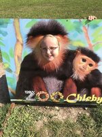 Projektový den - Zoo Chleby