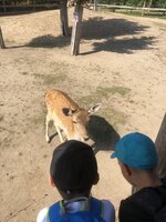 Projektový den - Zoo Chleby