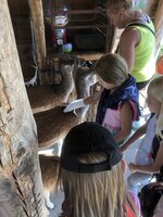 Projektový den - Zoo Chleby