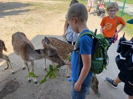 Projektový den - Zoo Chleby
