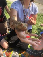 Zvířátka ve školní družině