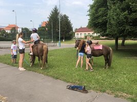 Zvířátka ve školní družině