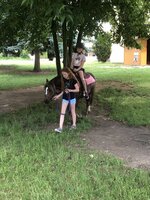 Zvířátka ve školní družině