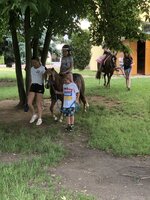 Zvířátka ve školní družině