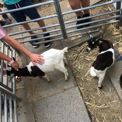 Projektový den - Zoo Chleby