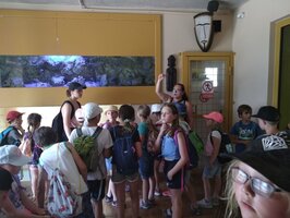 Projektový den - Zoo Chleby