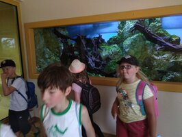 Projektový den - Zoo Chleby
