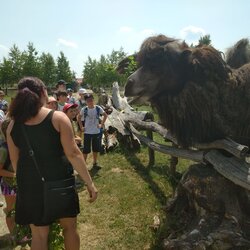 Projektový den - Zoo Chleby