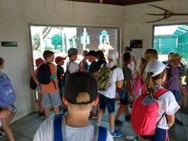 Projektový den - Zoo Chleby
