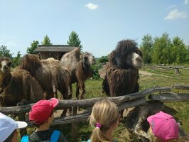 Projektový den - Zoo Chleby