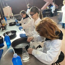 Sféra, dřevo a chemie